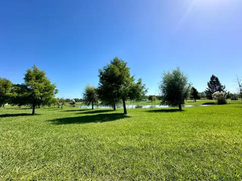 Ruta 4 Km 4.2, Barrio Las Calandrias