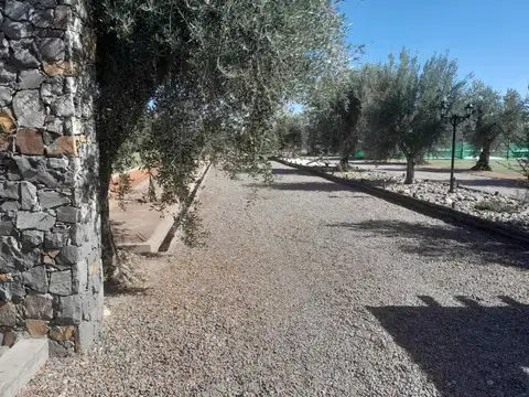 Lote frontal en Venta en Barrio Olivos de Furlotti