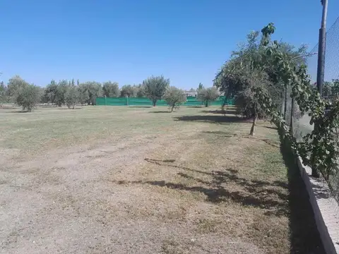 Azcuénaga 2600