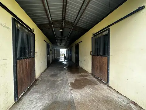 Campo en Venta de 20  ha