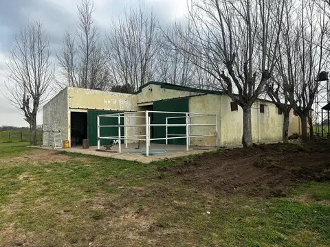 VENTA 20 HECTAREAS HARAS SAN ANDRES DE GILES CERCANO DOINA