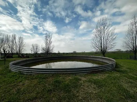 Campo en Venta de 20  ha