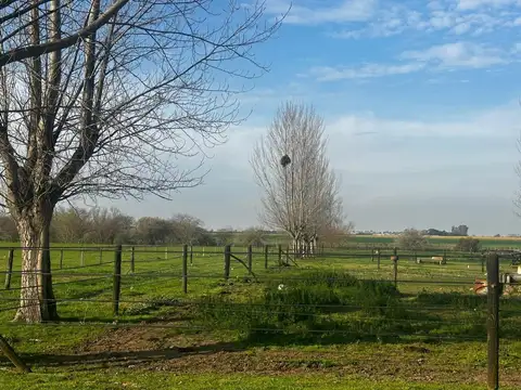 Campo en Venta de 20  ha