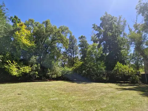 Juan Manuel Blanes 1900