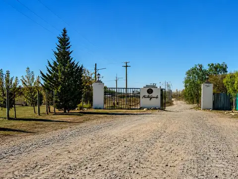 Terreno en Venta en Luján de Cuyo, USD 140.000