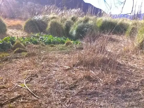 Excelente Finca 7,5 ha venta en Cachi Adentro. C/proyecto pa