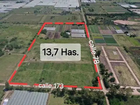 VENTA DE CAMPO/ FRACCION de 13,77 Has,  LOS HORNOS