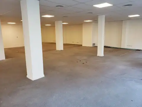 Oficinas en alquiler Plaza Roma