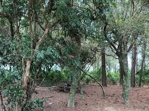 VENDE TERRENO SAN GARA - B° PRIVADO EN ITUZAINGÓ CTES -