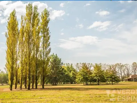 Estancia Villa Maria, 1L-L33