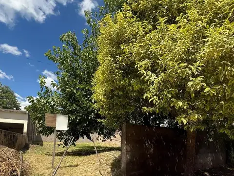 Terreno en Venta de 300,0 m2