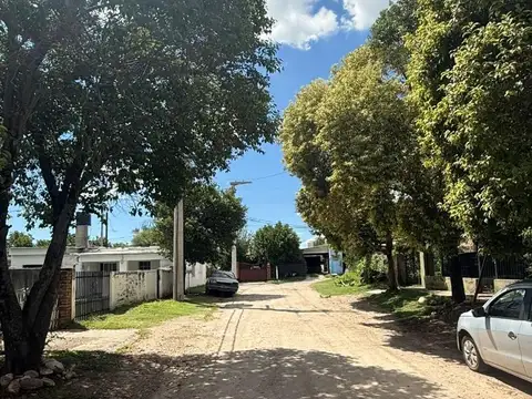 Los Pinos