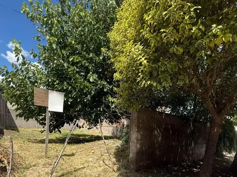Los Pinos