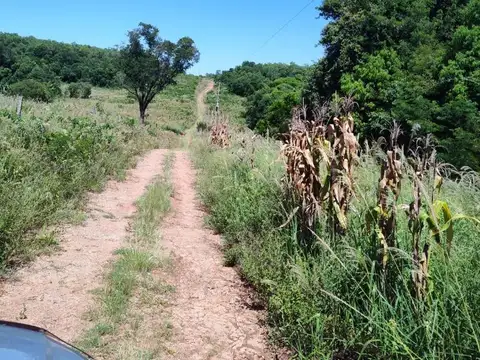 Campo en Venta Ganadero