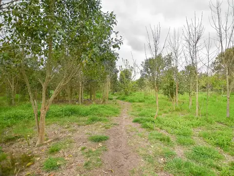 TERRENO EN VENTA LA PLATA