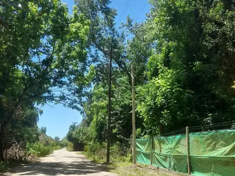 Lote en venta en Playa Bagliardi, Berisso – 3.717 m² de naturaleza y tranquilidad