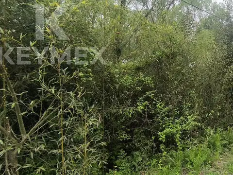 Terreno en Venta en Los Talas, USD 25.000