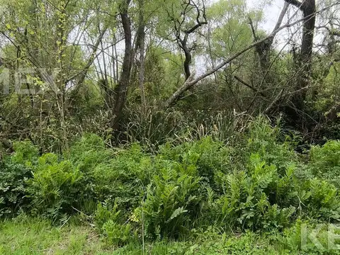 Lote en venta en Playa Bagliardi, Berisso – 3.717 m² de naturaleza y tranquilidad