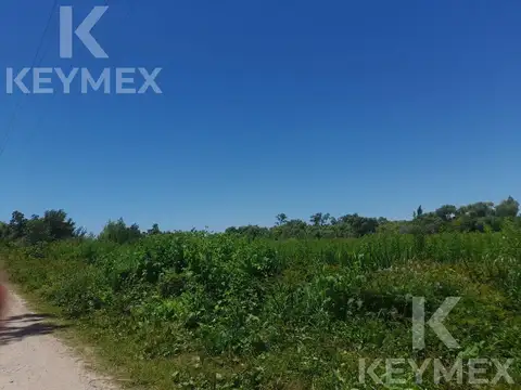 Lote en venta en Playa Bagliardi, Berisso – 3.717 m² de naturaleza y tranquilidad
