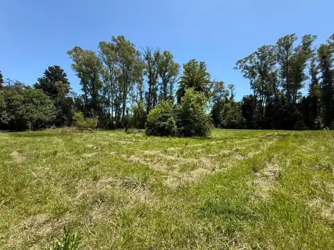 Terreno en Venta en Los Pinos, USD 50.000