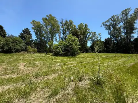 Terreno en Venta de 5.182 m² arbolado en Barrio Los Pinos