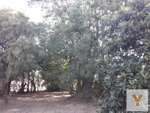 Terreno venta - 20x56mts - 1119mts2 totales - El Rodeo, Abasto, La Plata