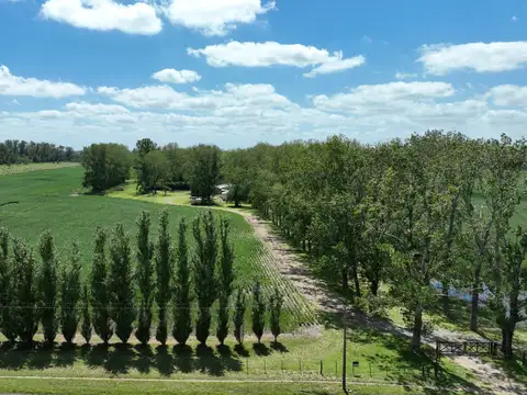 Campo sobre Ruta 8 en Robles