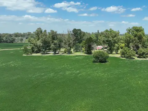 Campo en Venta de 235  ha