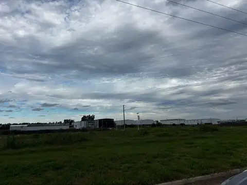 Ruta 6 al 100