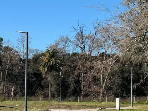 Calle 83