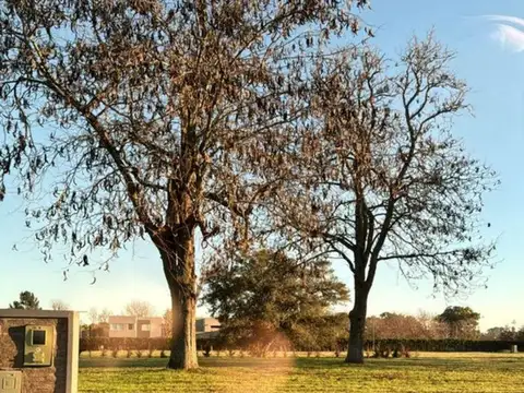 Terreno en Venta de 612,0 m2