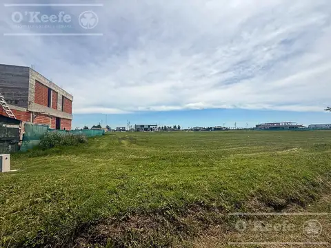 Lote Central en venta en Etapa 1  en Puerto Nizuc - Posesión Inmediata -  Guillermo Hudson