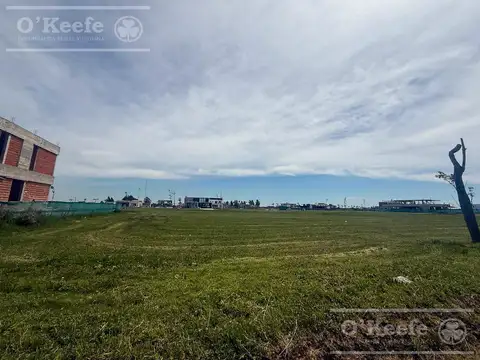 AUTOPISTA BUENOS AIRES LA PLATA KM 30,5 y CALLE 47  GUILLERMO HUDSON