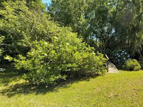 Rio / Arroyo Antequera 80 Villa Titina 100