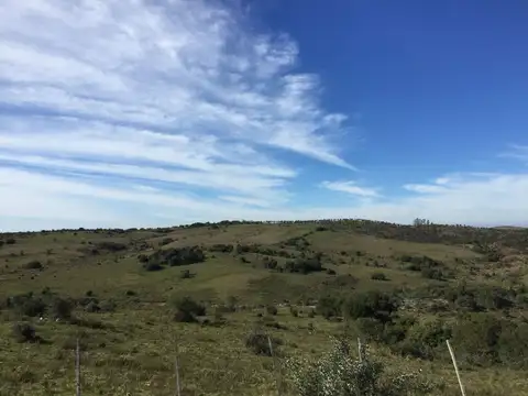 Camino Sais Martinez y camino vecinal