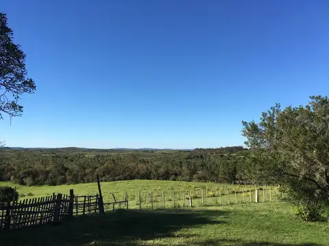 Camino Sais Martinez y camino vecinal 100
