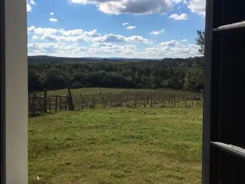 Campo de 115ha con casa en venta en Garzón