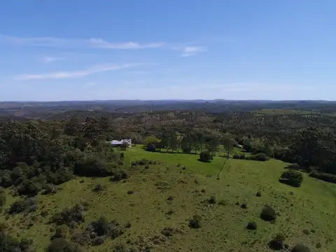 Campo de 115ha con casa en venta en Garzón
