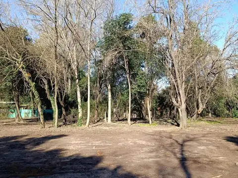 Terreno en Venta 52  mts Frente
