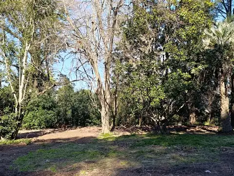 Lote 7.029 m2 La Lonja Pilar.