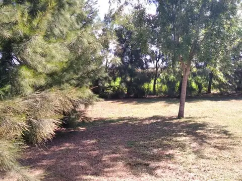 Campo en Venta Agrícola