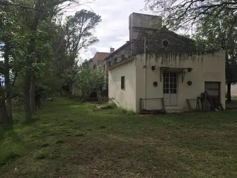 Campo - San Javier