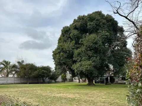 VENTA LOTE EN NAVARRO, SUP 1000 M2 -Parc 2R