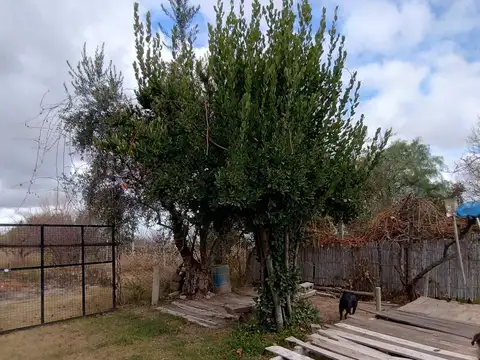 Venta 3 propiedades sobre gran terreno, San Martín