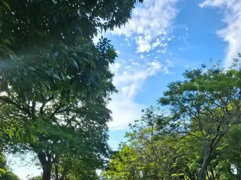 Terreno en Venta de 26000,0 m2