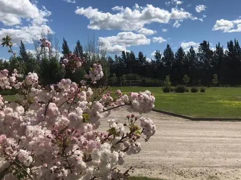 Venta de Lote 70 en Campos de Roca II.