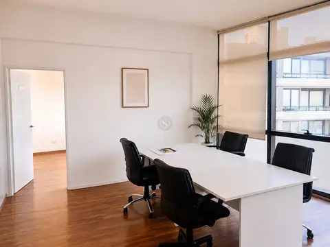 Vohe Studio 100