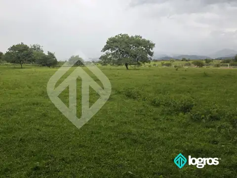 Terreno en venta de 2.5 ha, apto para loteo ha ubicado en Grand Bourg
