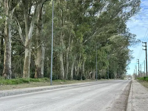 Terreno en Venta de 400,0 m2