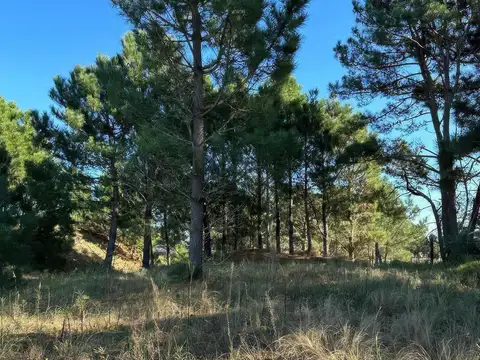 Terreno en Venta en Barrio Cerrado Costa Esmeralda, USD 86.000